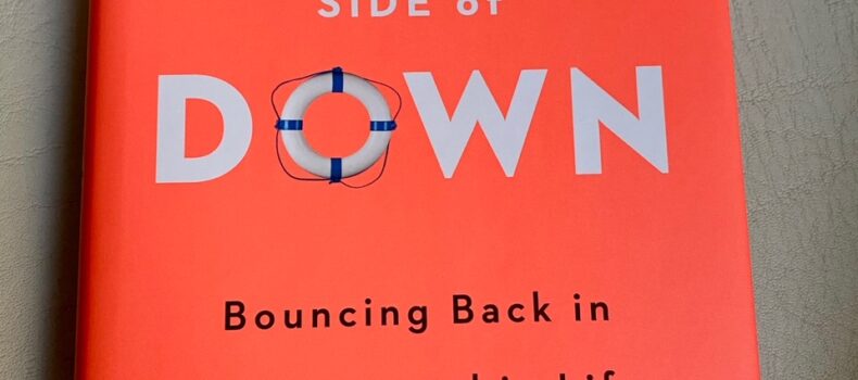 The Up Side of Down by Megan McArdle