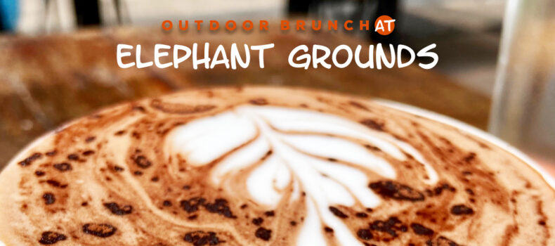 Outdoor Brunch at Elephant Grounds