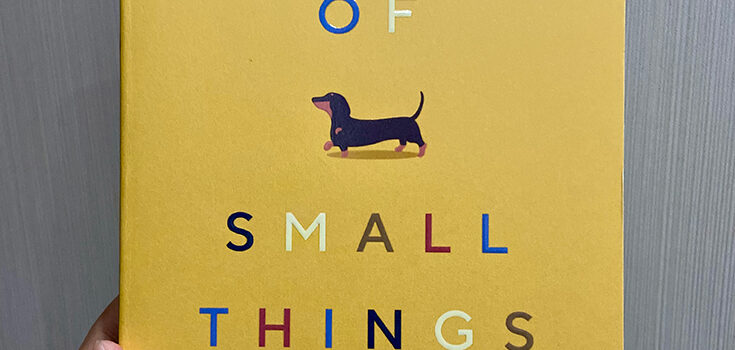 The Joy of Small Things by Hannah Jane Parkinson
