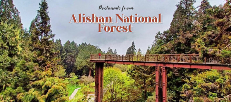 Postcards from Alishan National Forest