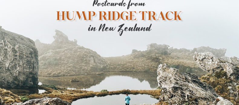 Postcards from Hump Ridge Track in New Zealand