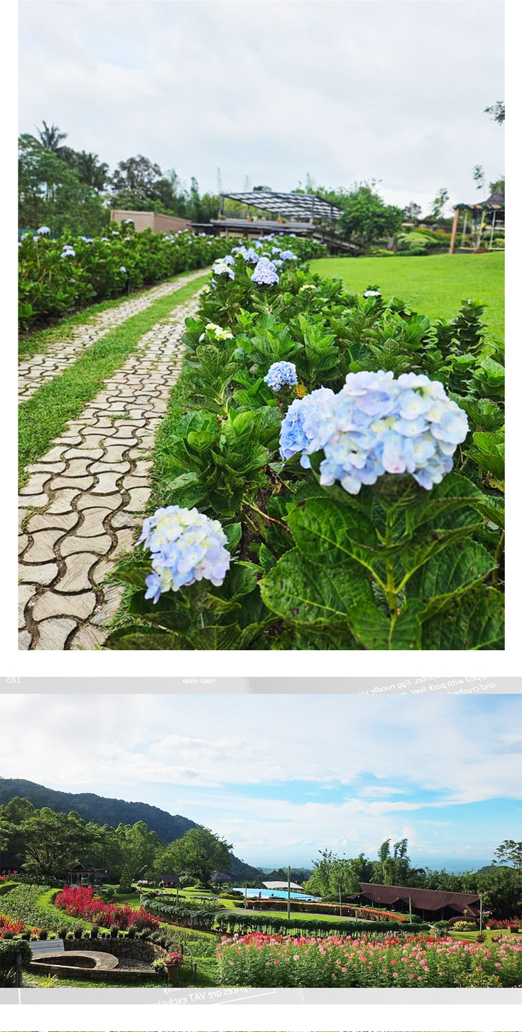 2025-summer-special-ilaya-highland-mountain-resort_03