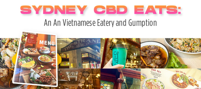Sydney CBD Eats: An An Vietnamese Eatery and Gumption